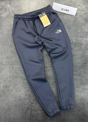 Спортивні штани the north face tnf8 фото