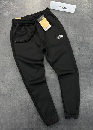 Спортивні штани the north face tnf10 фото