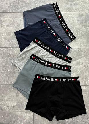 Комплект 5 штук трусів tommy hilfiger + 12 пар шкарпеток термо2 фото