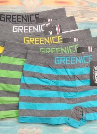 Бесшовные мужские боксеры greenice 4327
