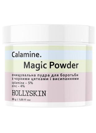 Очищающая пудра для борьбы с черными точками и высыпаниями hollyskin calamine. magic powder