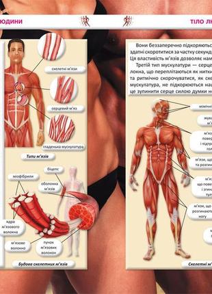 Книга «все о теле человека. 1000 интересных фактов»