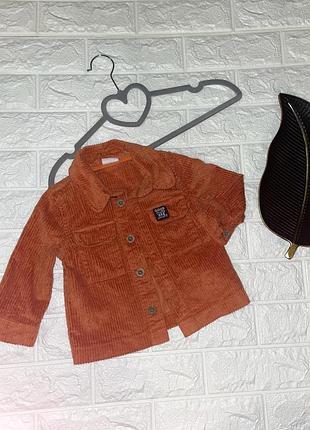 Вельветова курточка стильний піджачок на 6-9 місяців