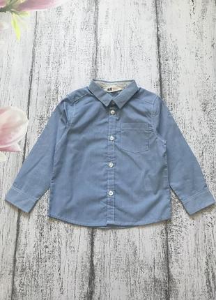 Крута сорочка в смужку h&m 1,5-2 роки