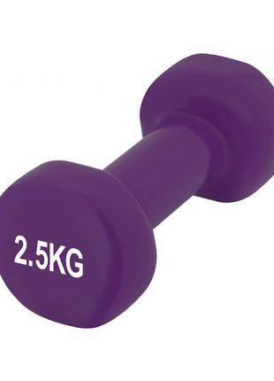Гантелі для фітнесу тренувальні вінілові powerplay 4125 achilles 2*2.5 кг. фіолетові (пара - 2шт.) dm-112 фото