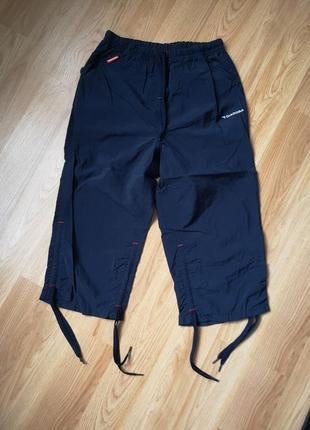 Шорти, бриджі