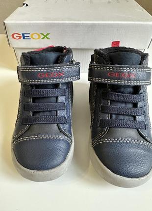Ботинки geox3 фото