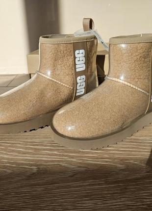 Взуття жіноче ugg classic clear mini водонепроникне угги агси1 фото