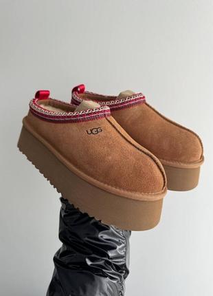 Жіночі замшеві уггі тапки ugg tasman chestnut