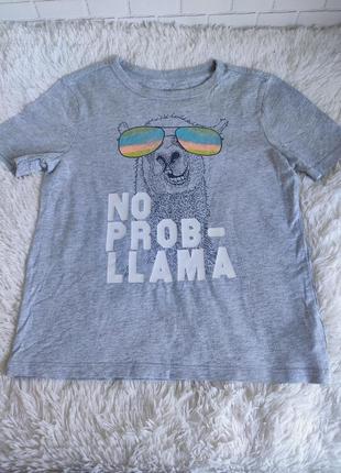 Футболка з ламою