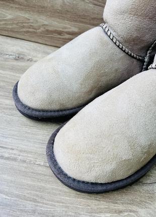 Сапоги сапоги ugg4 фото