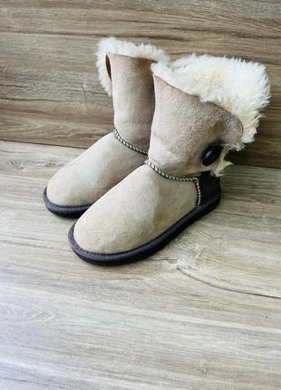 Чоботи сапоги ugg3 фото