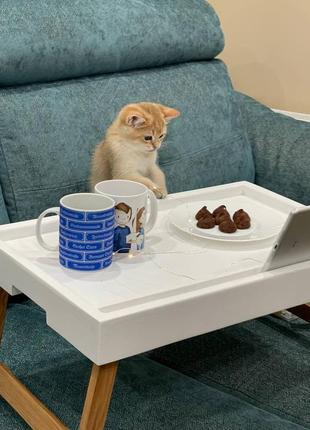 Столик для ноутбука, завтраков в постели, пикника.