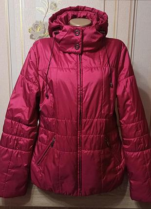 Тепла демісезонна куртка з капюшоном м-l