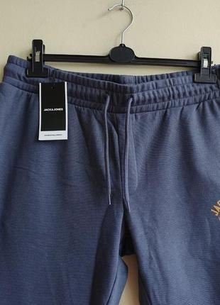 Нюанс мужские утепленные спортивные штаны джогеры jack & jones ombre blue 122205037 фото