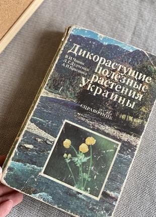 Дикорослі корисні рослини українськи 1983 довідник1 фото