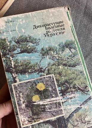 Дикорослі корисні рослини українськи 1983 довідник3 фото