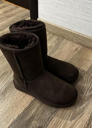 Ugg 5