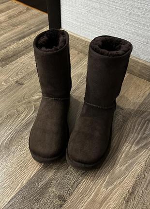 Ugg 7