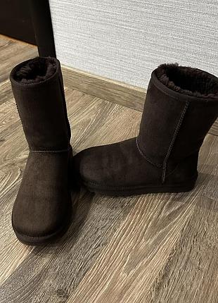 Ugg 6