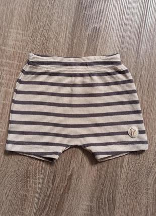 Шортики 68 рост