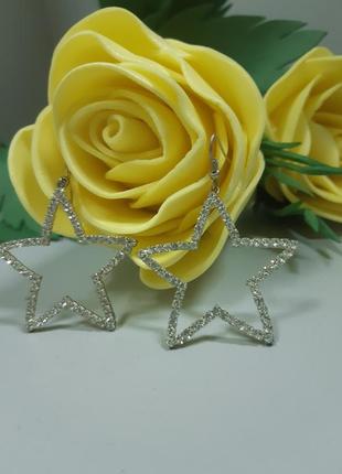 Сережки 3