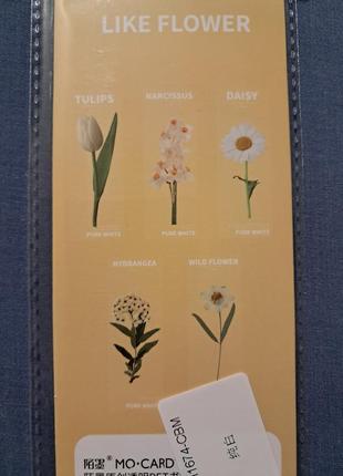 Прозорі закладки для книг з квітами 5 шт. набір "тюльпан/ромашки"2 фото
