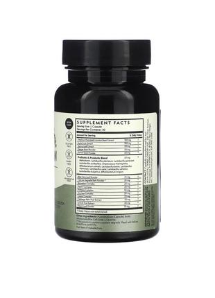 Здоровый детокс - 30 карсул terra origin detox