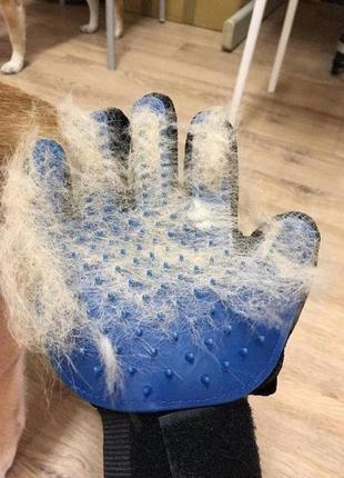Рукавичка для вичісування шерсті true touch, тру тач, pet glove gw