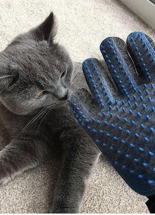 Рукавичка для вичісування шерсті true touch, тру тач, pet glove gw2 фото