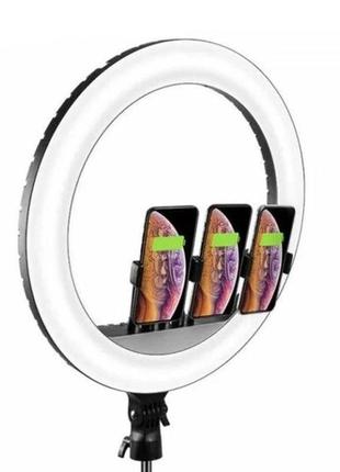 Уцінка кільцева світлодіодна led лампа arc ring remote control 21" + tripod 2.1m