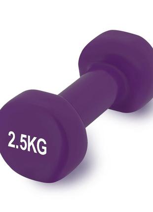 Гантель для фитнеса тренировочная виниловая powerplay 4125 achilles 2.5 кг. фиолетовая (1шт.) dm-116 фото