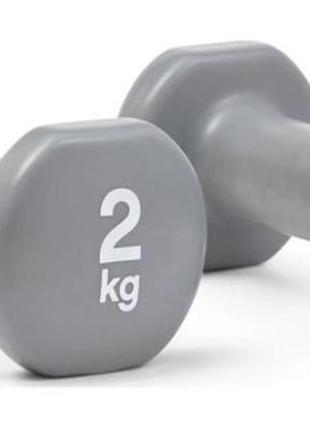 Гантелі reebok dumbbells сірий уні 2 кг1 фото