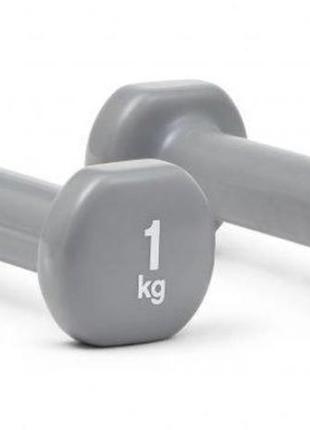 Гантелі reebok dumbbells сірий уні 1 кг