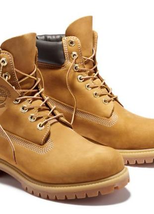 Ботинки зимние timberland 6 premium (43)