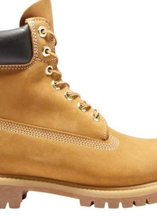 Черевики зимові timberland 6 premium (43)3 фото