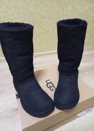 Высокие зимние сапоги ugg, оригинал