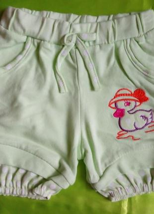 Шорти трикотажні