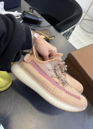 Бежевые кроссовки adidas yeezy8 фото