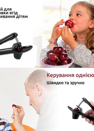 Вишнечистка вишнедавка прилад для видалення кісточок з вишні, черешні, маслин2 фото