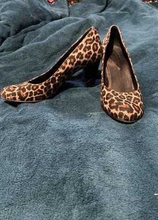 Туфли леопард толстый каблук2 фото
