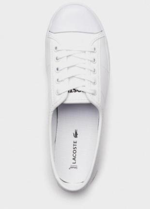 Низкие кеды lacoste2 фото