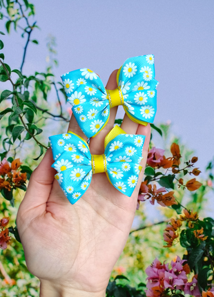 Бантики бабочки