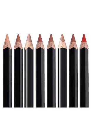 Невероятный набор anastasia bewerly hills lip liner deluxe mini set3 фото