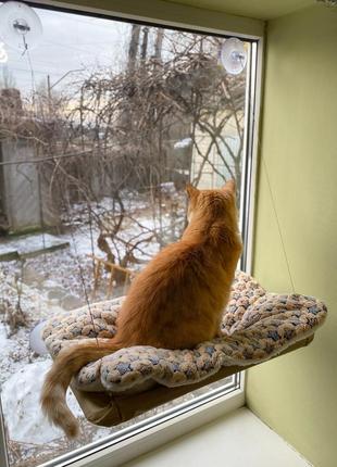 Гамак лежанка для кота. подвесной гамак на окно. гамак с плюшевой подушкой.6 фото