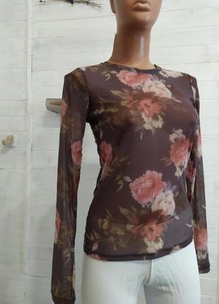 Шикарная блузка,прозрачная и эластичная  в 2-х размерах
