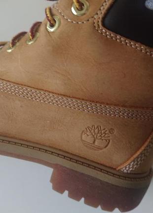 Оригинальные ботинки timberland6 фото