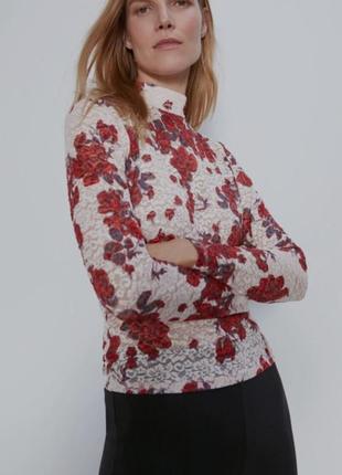 Лонгслів  блуза від zara, xs1 фото