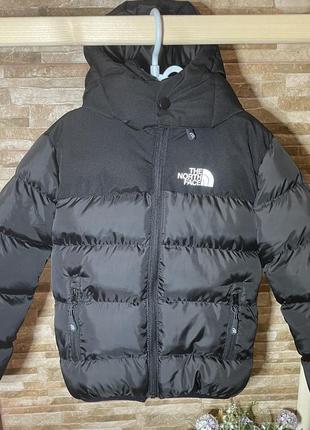 Куртка детская весна! the north face