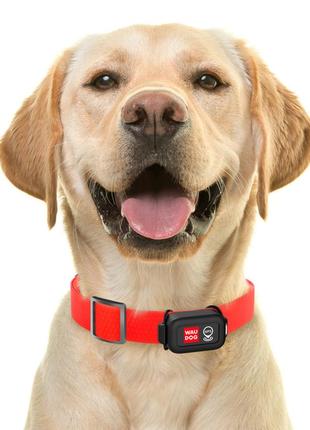 Gps-трекер для собак waudog device